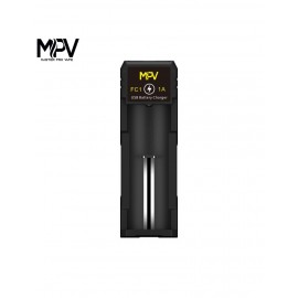 Chargeur rapide 1 accu FC1...