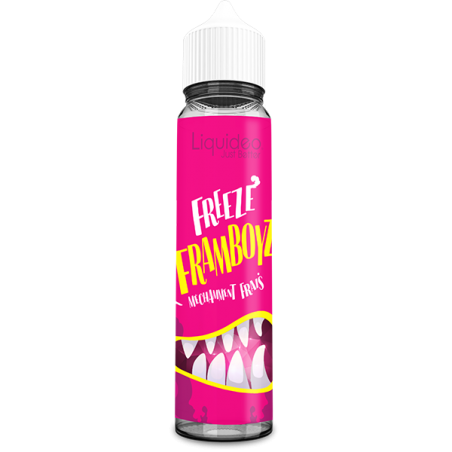 Liquideo - Freeze Framboyz 50ML Boosté